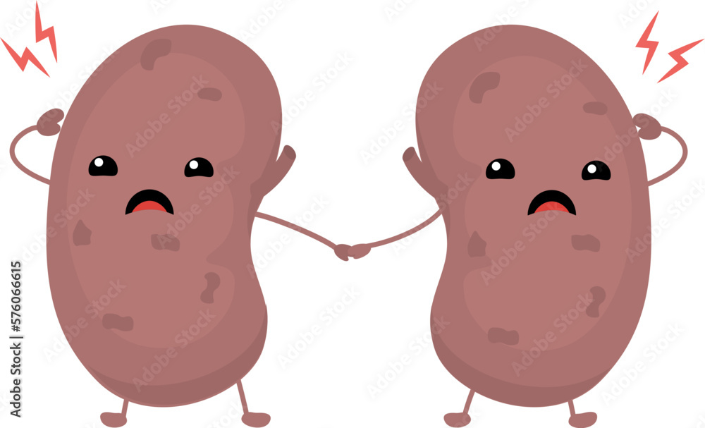 kidneyCharacters of sad and happy kidneys. Vector illustration kidneyCharacters of sad and happy kidneys. Vector illustration