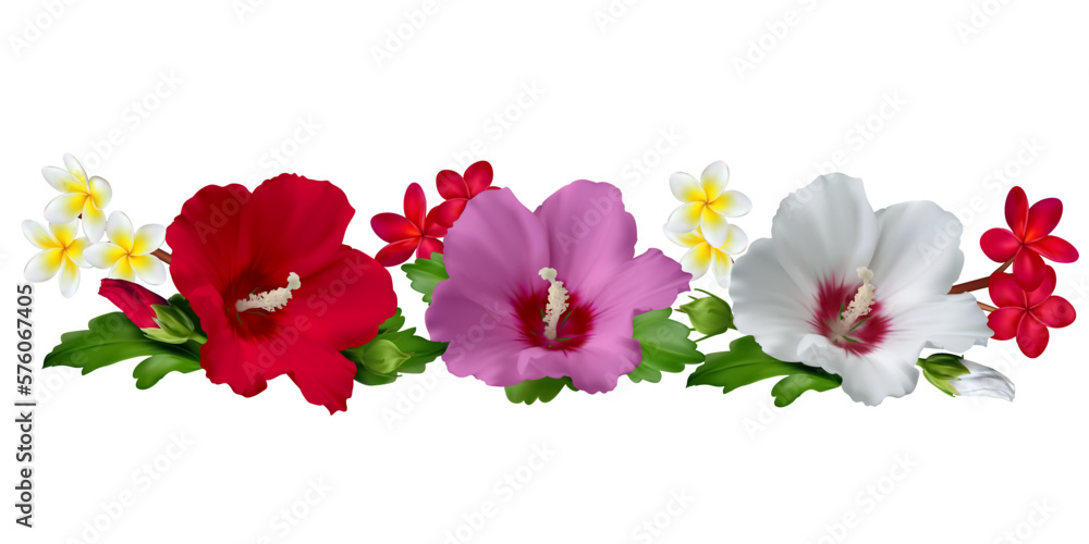Tropical flowers. Hibiscus. Plumeria. Green leaves. Floral pattern. Isolated.