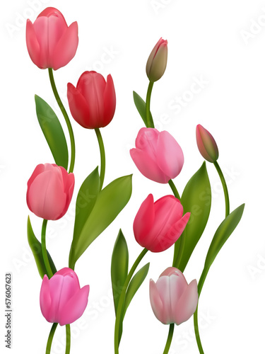 Spring flowers. Beautiful tulips. Floral background. Buds. Pink. Red. Green leaves. Bouquet.