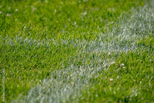 football pitch close up