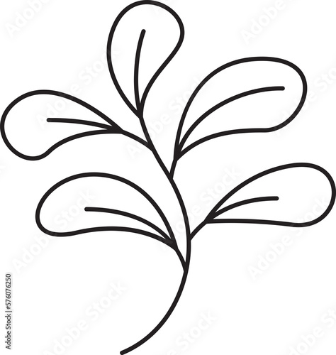 decorative leaves and plant line illustration