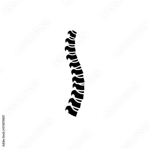  spine - vector icon