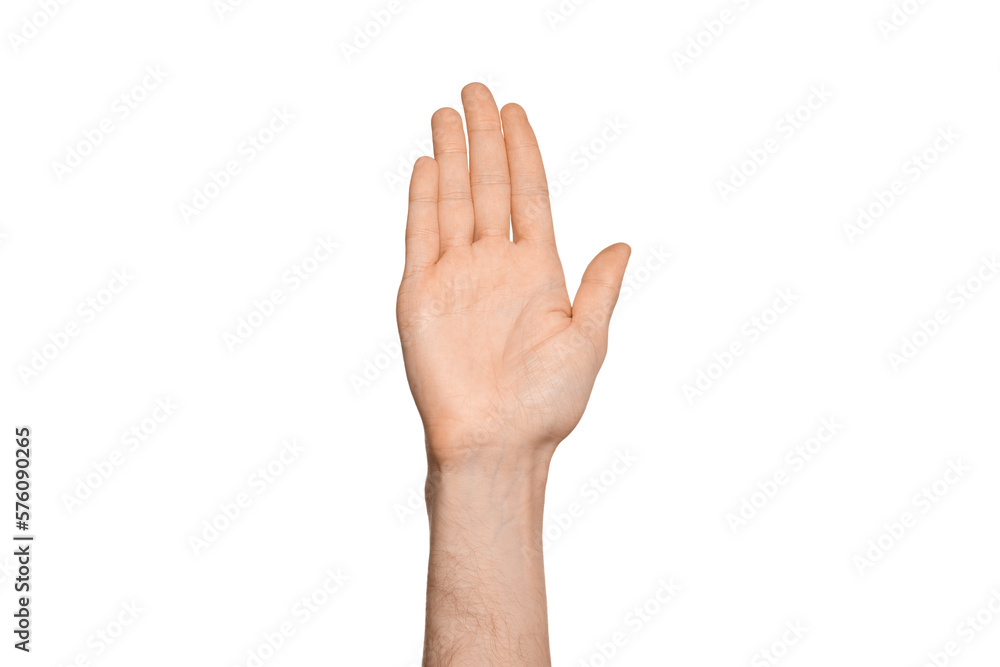Fototapeta premium A man's hand is raised up, in the frame is a palm, fingers are closed. Isolate