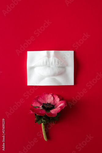 Red anemone on a red background with white plaster 3D figure of female lips. women's freedom concept, beauty industry, women's day, red lipstick, lip cosmetics, spring.