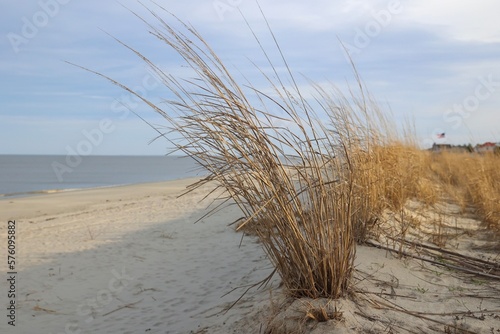 Sand Dunes Broadkill Beach Delaware