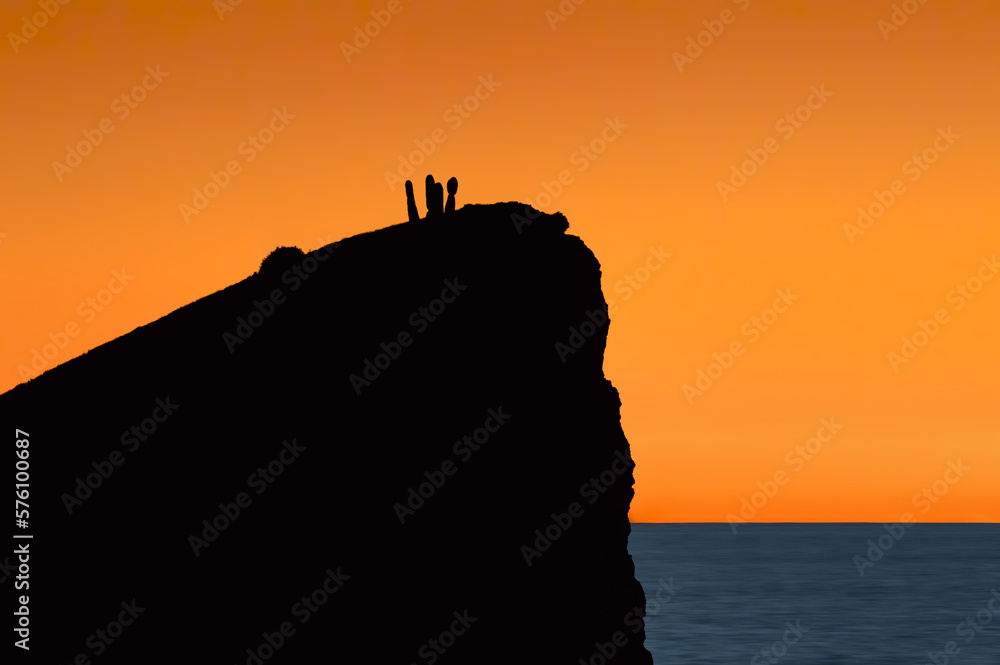 El HIMALAYA BEACH, SONORA / MEXICO - OCTOBER 16, 2022. 
A silhouette of a cactus at the top of a cliff during the sunset (long exposure).