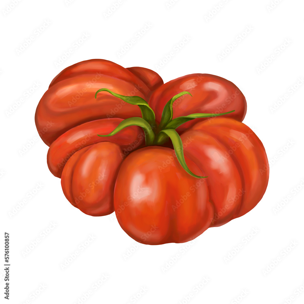 Red ripe fleshy tomato. Digital illustration on a white background Red ripe fleshy tomato. Digital illustration on a white background