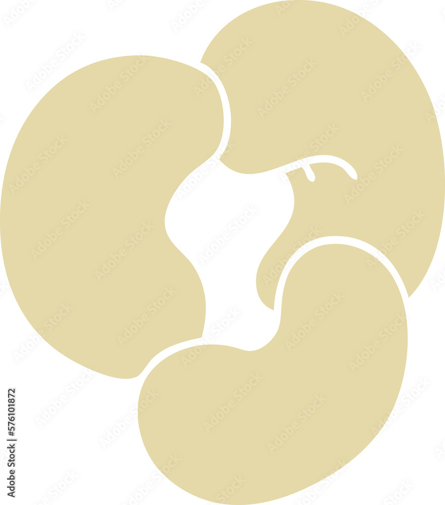 cashew nuts cashew nuts