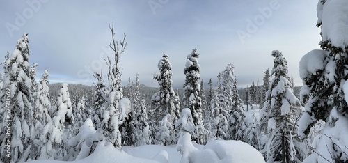 paysage hivernal au Québec