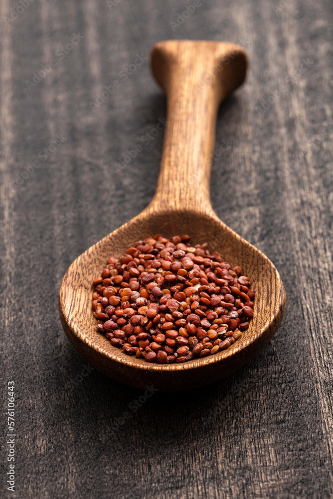 Red quinoa seeds in spoon - Chenopodium quinoa Red quinoa seeds in spoon - Chenopodium quinoa