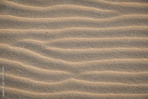 Texture of fine Sand at the beach