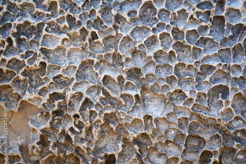 beautiful texture an a rock at the Coast