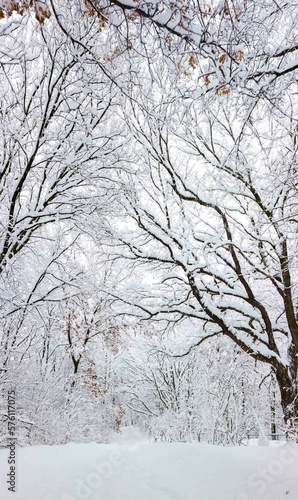 Winter Park Path, Minnesota
