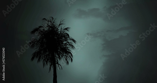 Composition of silhouette of palm tree over clouded sky