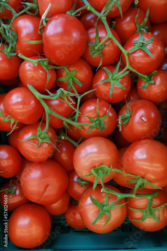 fresh tomato with water drop close up 