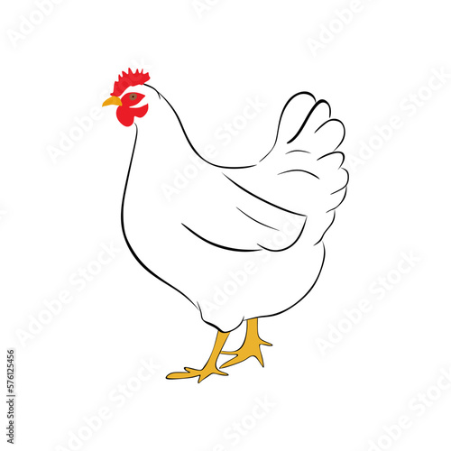 Hen vector icon. Hand drawing hen isolated on white background. Poultry vector illustration
