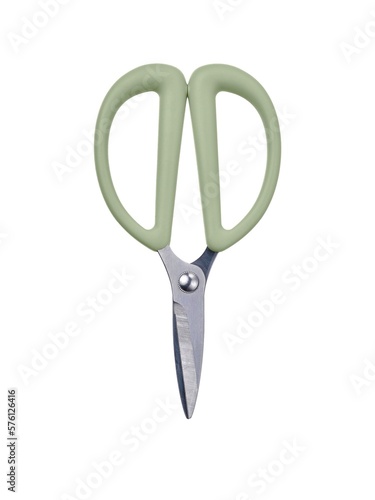 Herb and flower scissors Garden tools and accessories Light green small Comfortable handle Short blade Stainless steel Isolated on white background