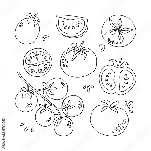 Set of doodle tomatoes. Vector illustration isolated on white background. Coloring for kids.