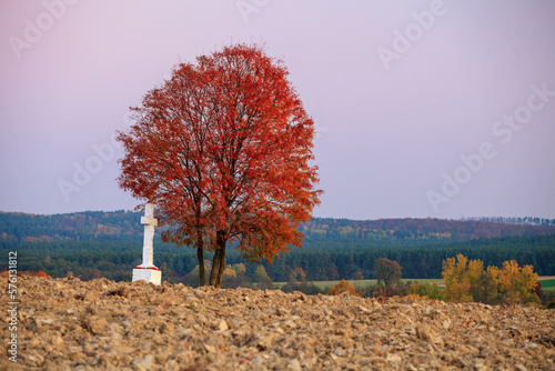 white stone cross under red lonely tree, Eastern Roztocze photo