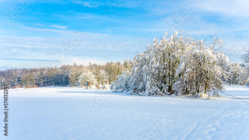 Panoramic view of a snowy landscape on a sunny day. Snow-covered meadows, trees, and a hunting blind