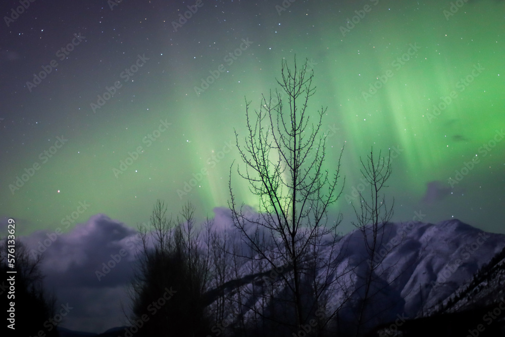 Fototapeta premium Northern lights