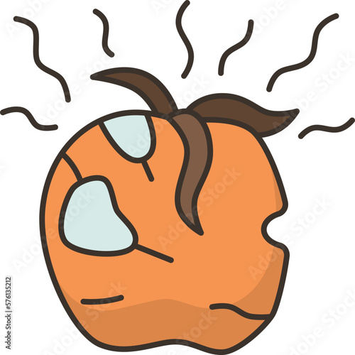 fruit  icon