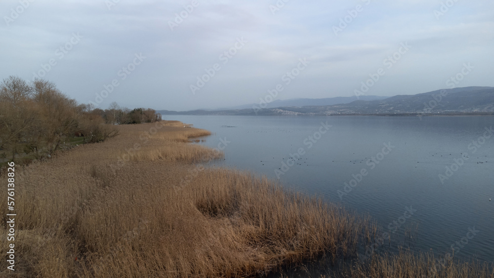 Aerial view of lake and reeds. Lake Sapanca in Turkey. Lake water level decreased due to drought. Drone view. Selective focus included. Noise and grain included.