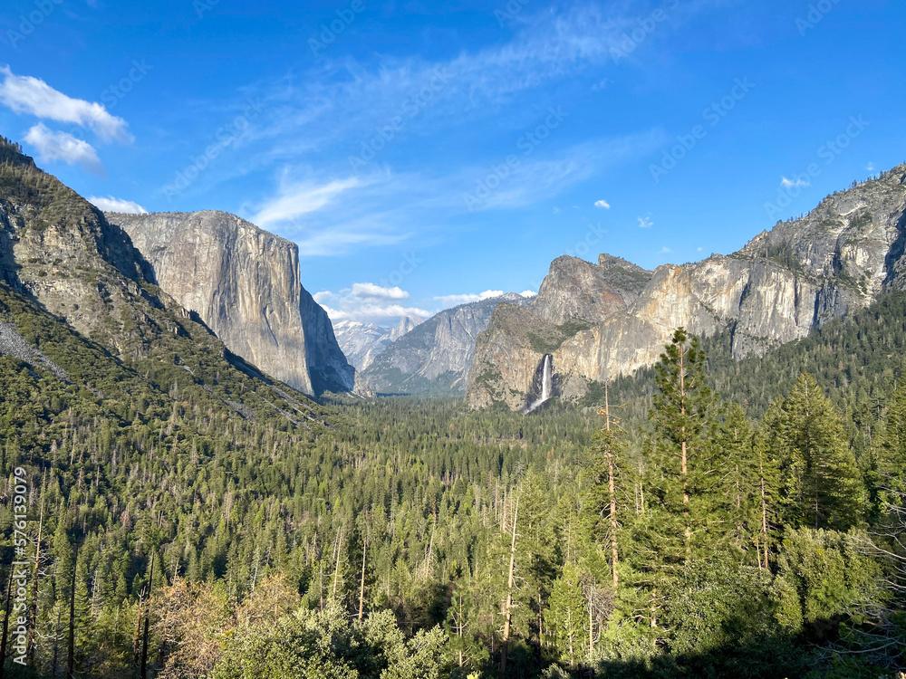 scenic mountain view of El Capitan and Half Dome in Yosemite valley with forest in national park