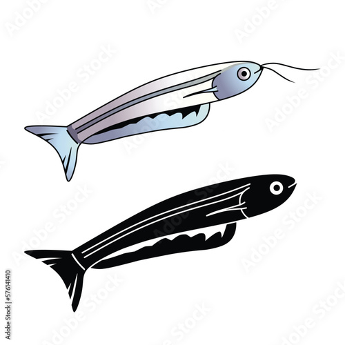 set of catfish vector illustration