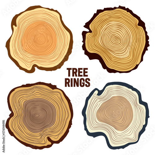 Round colorful tree trunk cuts, sawn pine or oak slices, lumber. Saw cut timber, wood. Brown wooden texture with tree rings. Hand drawn sketch. Vector illustration