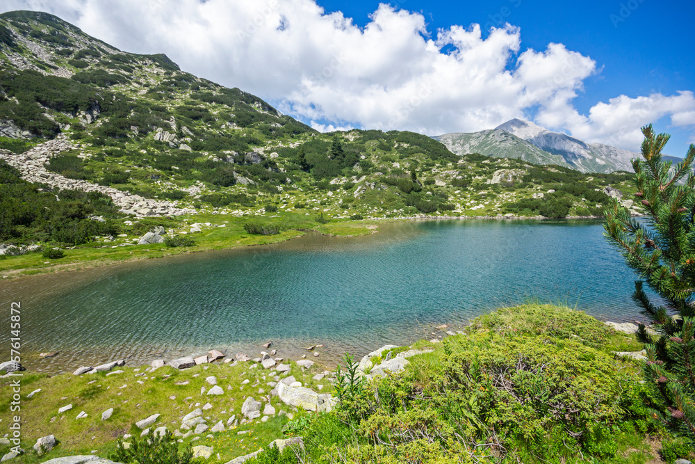 Summer view of Pirin Mountain around Banderitsa River, Bulgaria Summer view of Pirin Mountain around Banderitsa River, Bulgaria
