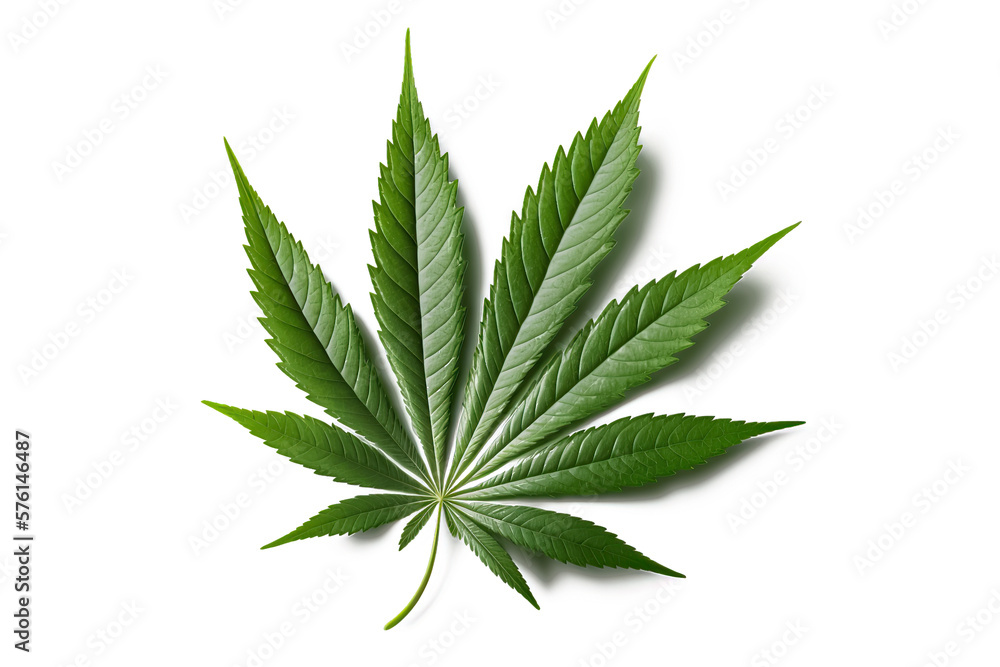 A green leaf of cannabis inflorescence isolate on a white background ai - obrazy, fototapety, plakaty 