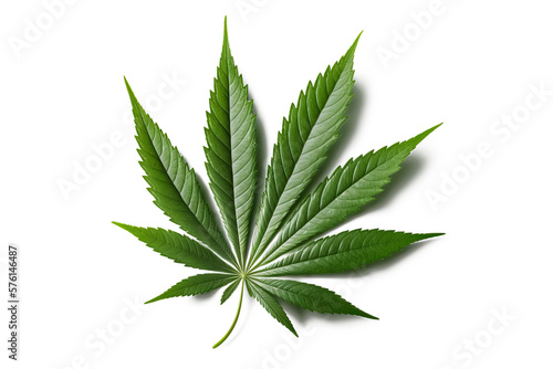A green leaf of cannabis inflorescence isolate on a white background ai photo
