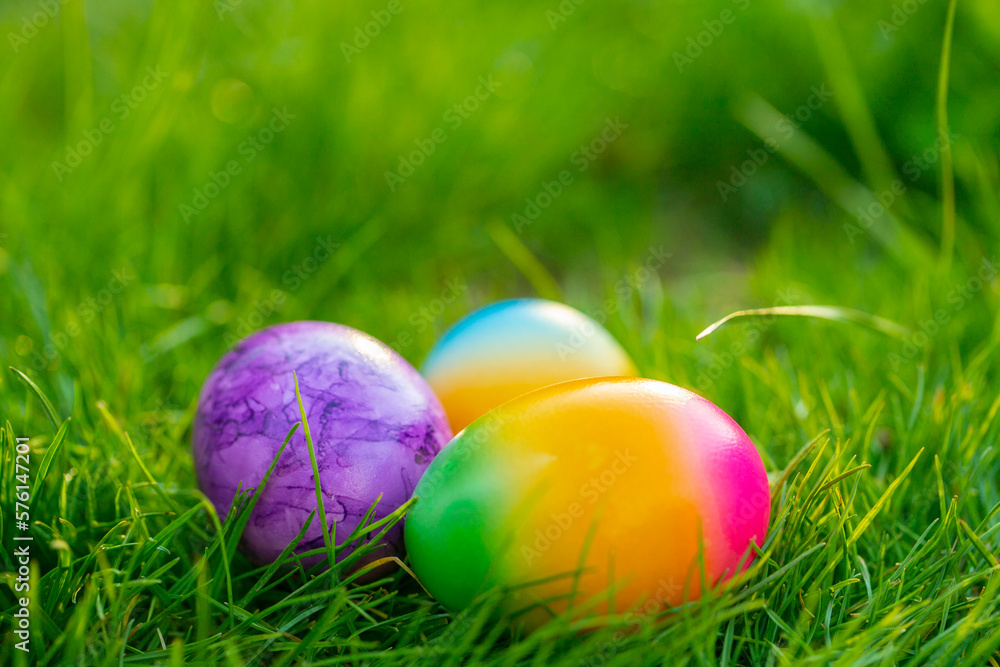 Easter holiday tradition.painted eggs in green grass.Easter food.Spring religious holiday.Easter Egg Hunt.Collection of colored eggs. 