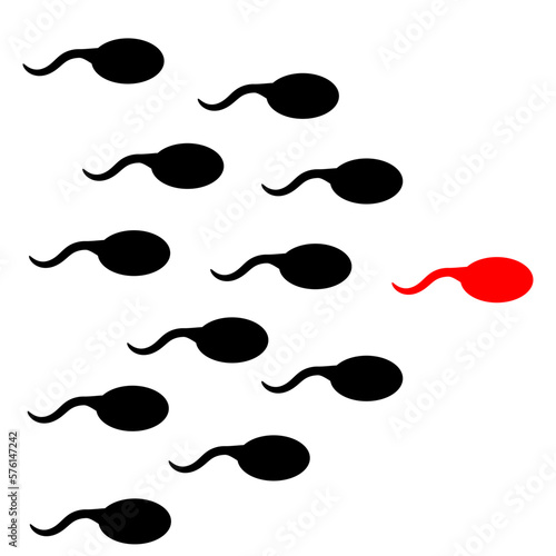 sperm and ovum. sperm. reproduction. pregnancy process