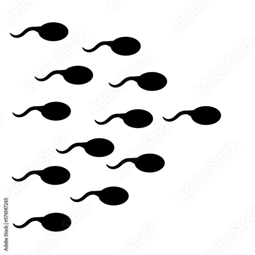 sperm and ovum. sperm. reproduction. pregnancy process