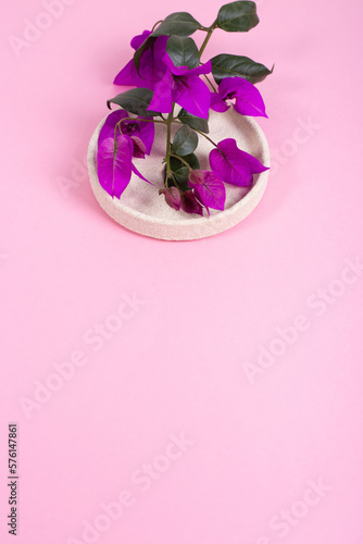 Pequeña flor de bugambilia en recipiente de piedra sobre fondo rosa con espacio negativo para texto en el inferior 