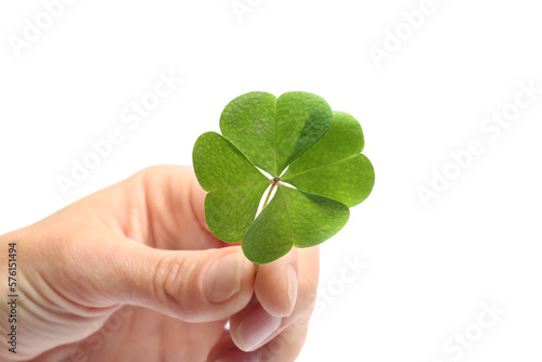 Woman holding beautiful green four leaf clover on white background, closeup