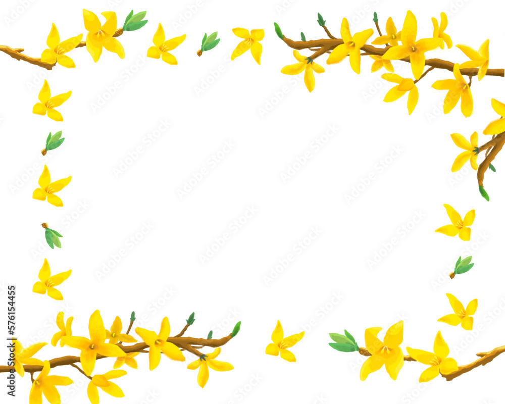 frame illustration design of forsythia flower that blooms in spring frame illustration design of forsythia flower that blooms in spring
