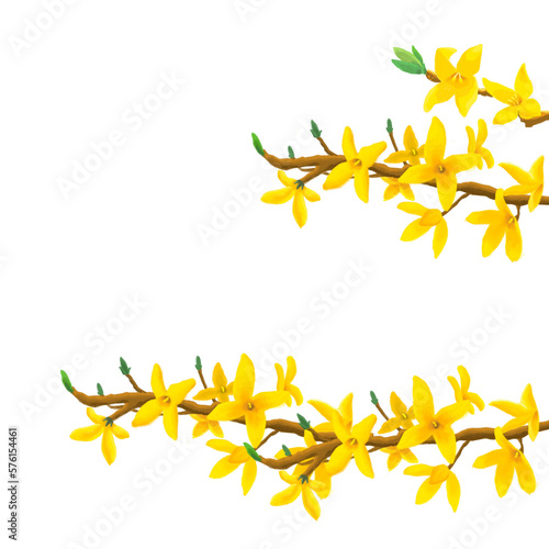 Fotografie illustration of forsythia flower that blooms in spring