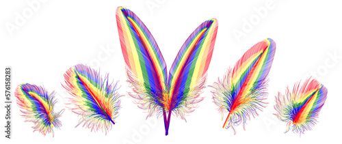 Set feathers in bright rainbow colors. Symbol of freedom LGBT. Vector illustration.