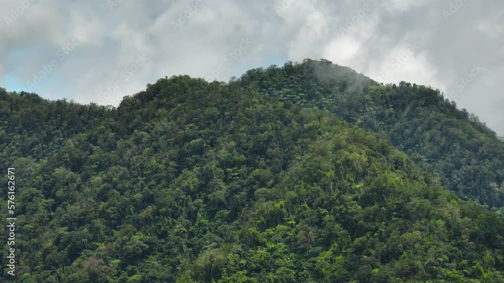 Fresh green foliage, tropical plants and trees covers mountains and ravine. Negros, Philippines
