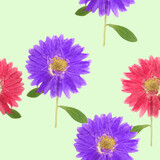 Aster. Floral seamless pattern. Flowers motifs. Collage for textile, cotton fabric, dress. For wallpaper, covers, print. Interior decor. Design for paper, cards. For brochure, banners.