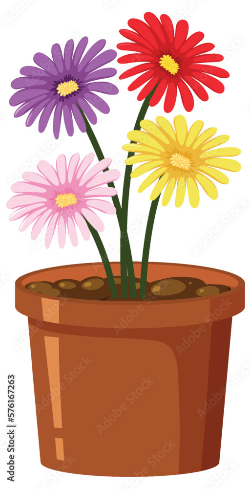 Colorful flower in pot on white background Colorful flower in pot on white background