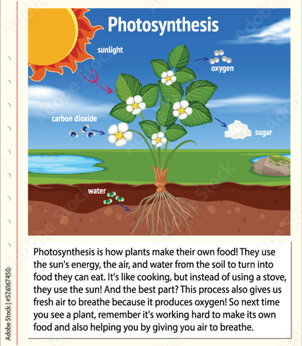 Explanation of Photosynthesis for biology and life science education