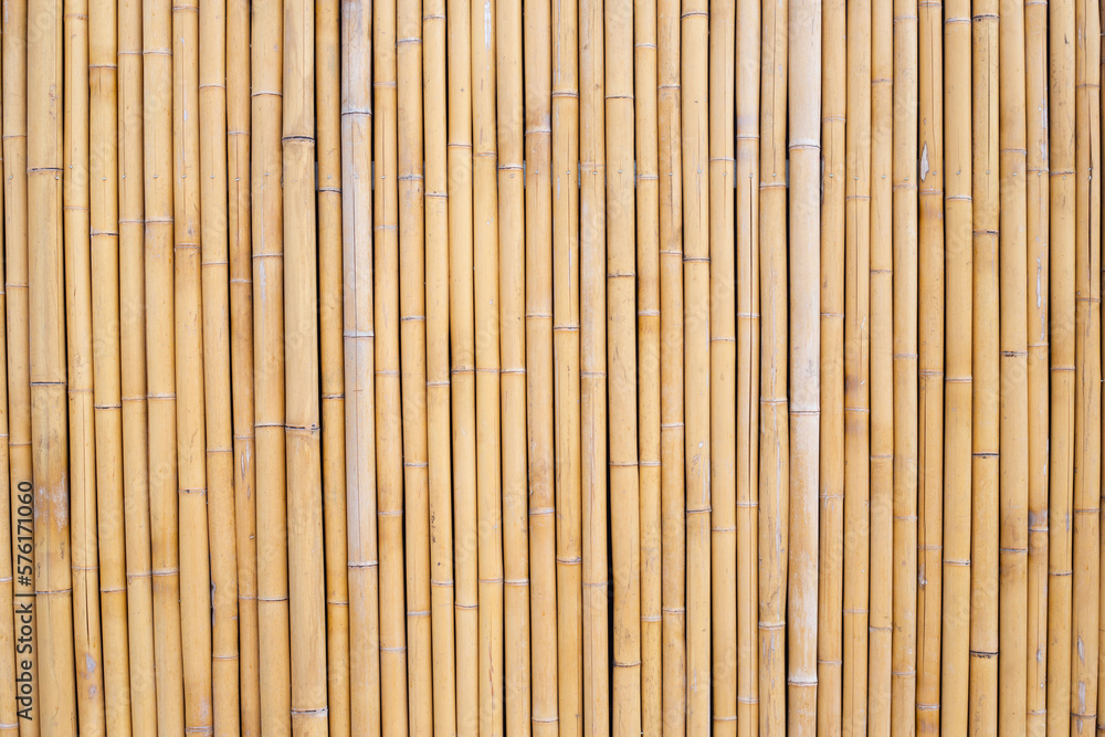 Yellow bamboo texture. Dried bamboo wall or fence background Yellow bamboo texture. Dried bamboo wall or fence background