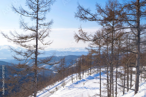Sunny winter day in the in the mountains. Khabarovsk Krai, far East, Russia.