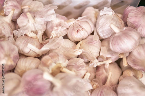 white garlic bunch in unpeeled segments in the foreground © Diego