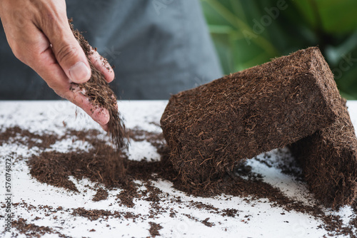 Coco peat for gardening photo