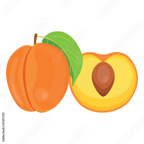 Vector illustration of apricot set. Set of cartoon ripe apricot with leaves, half and slices of fruits. Fresh apricot icons, isolated on white background. Elements for digital resources
